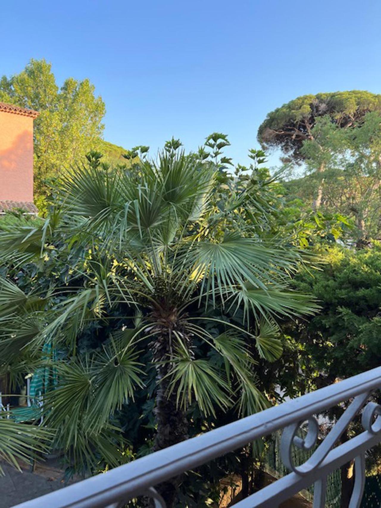 Superbe Appartement Terrasse Et Parking Prive Saint-Tropez Buitenkant foto